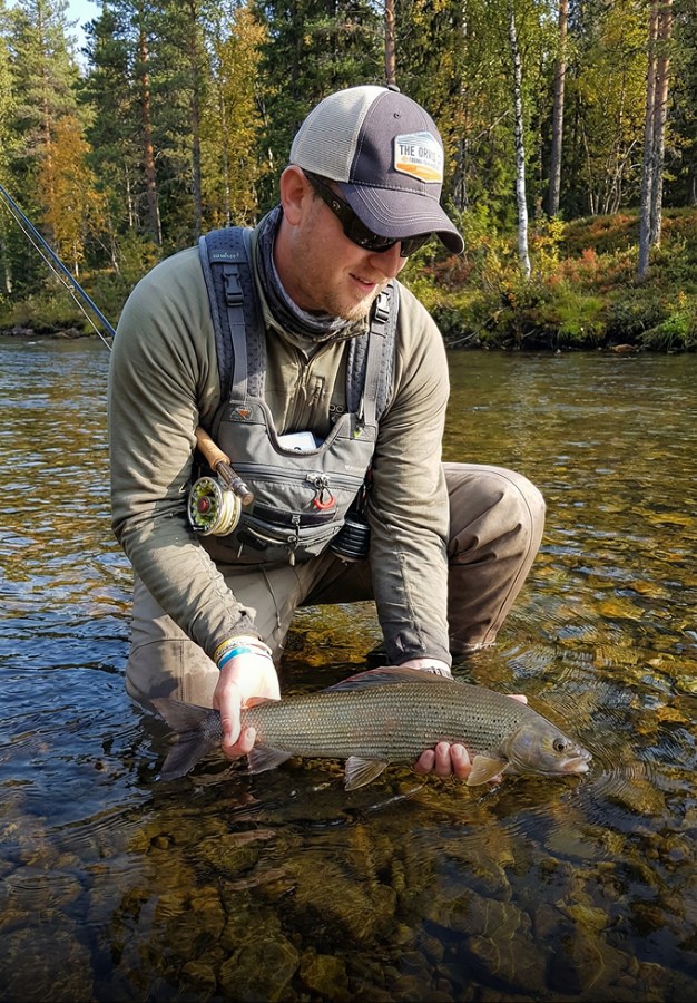 Grayling on the fly at Lapla Fishing, Swedish Lapland